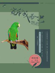 当我成为一只鹦鹉无弹窗阅读
