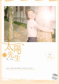 太阳先生重置版1-10阶段