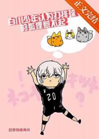 [综漫] 白川少年认为打排球的狐狸惹不起